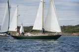 saboo 266c whyw24 sun 800 5358
